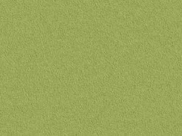 Preview: Modena 4D61 grün – rechteckige Draufsicht auf satten grünen Veloursboden als Meterware